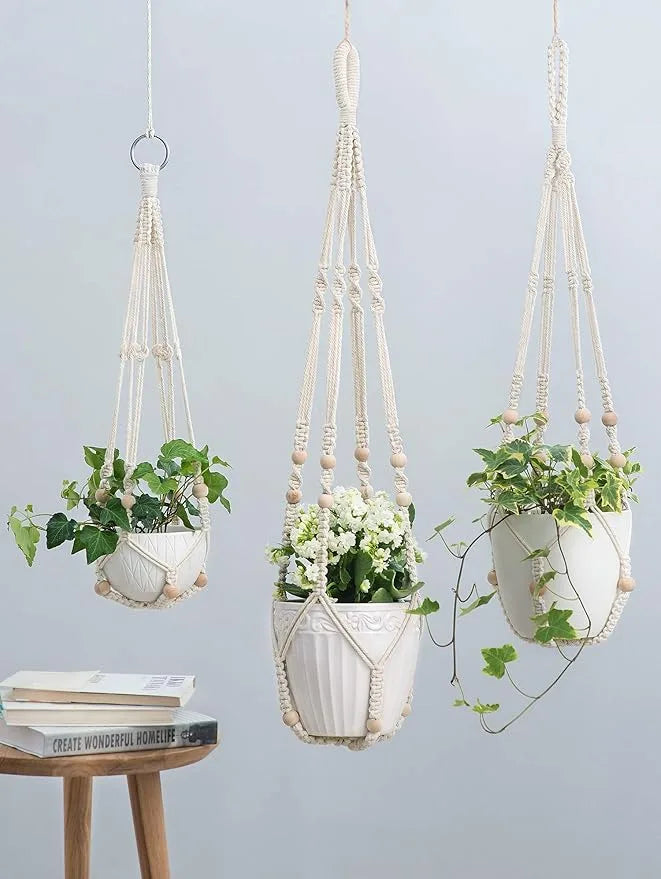 Plant Hangers