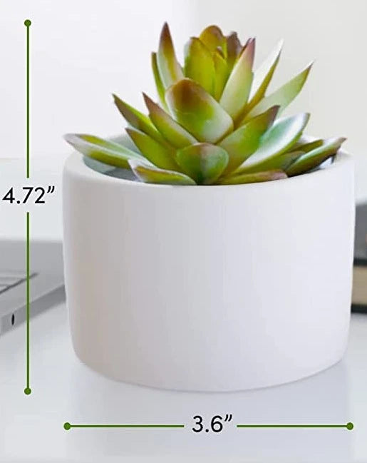 Office Gift Box Item Fauxsucc