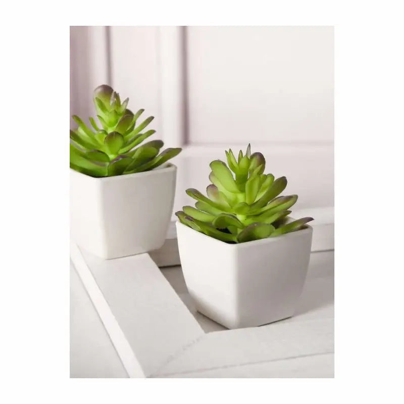 Faux Succulent