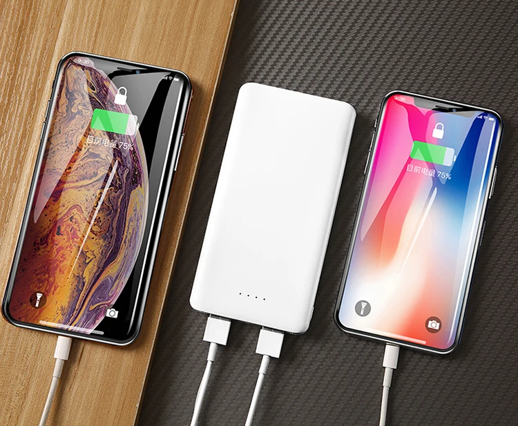 Dual Charging Power Banks
