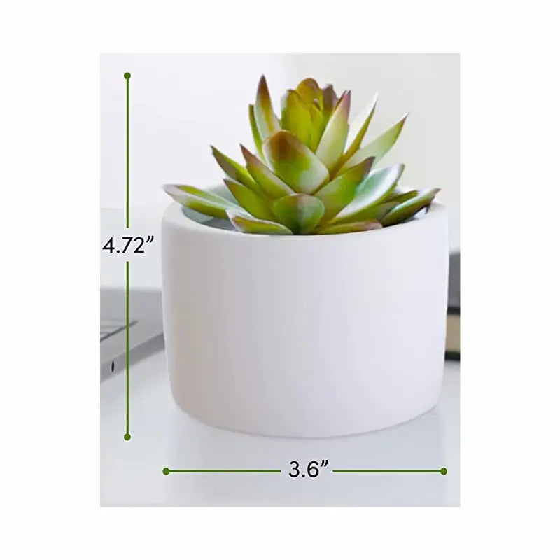 Personalized Birthday Gift Box Item Faux Succulent