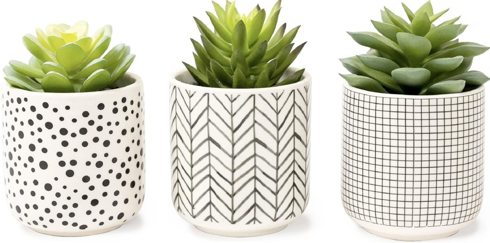 Three small succulents in decorative pots with different patterns on a white background