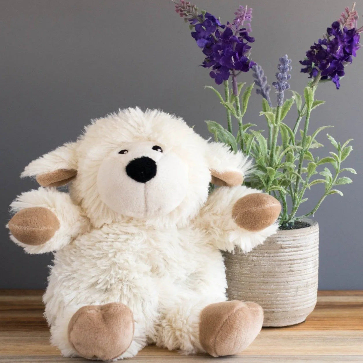 Get Well Soon Gift Item Teddy