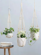 Plant Hangers 