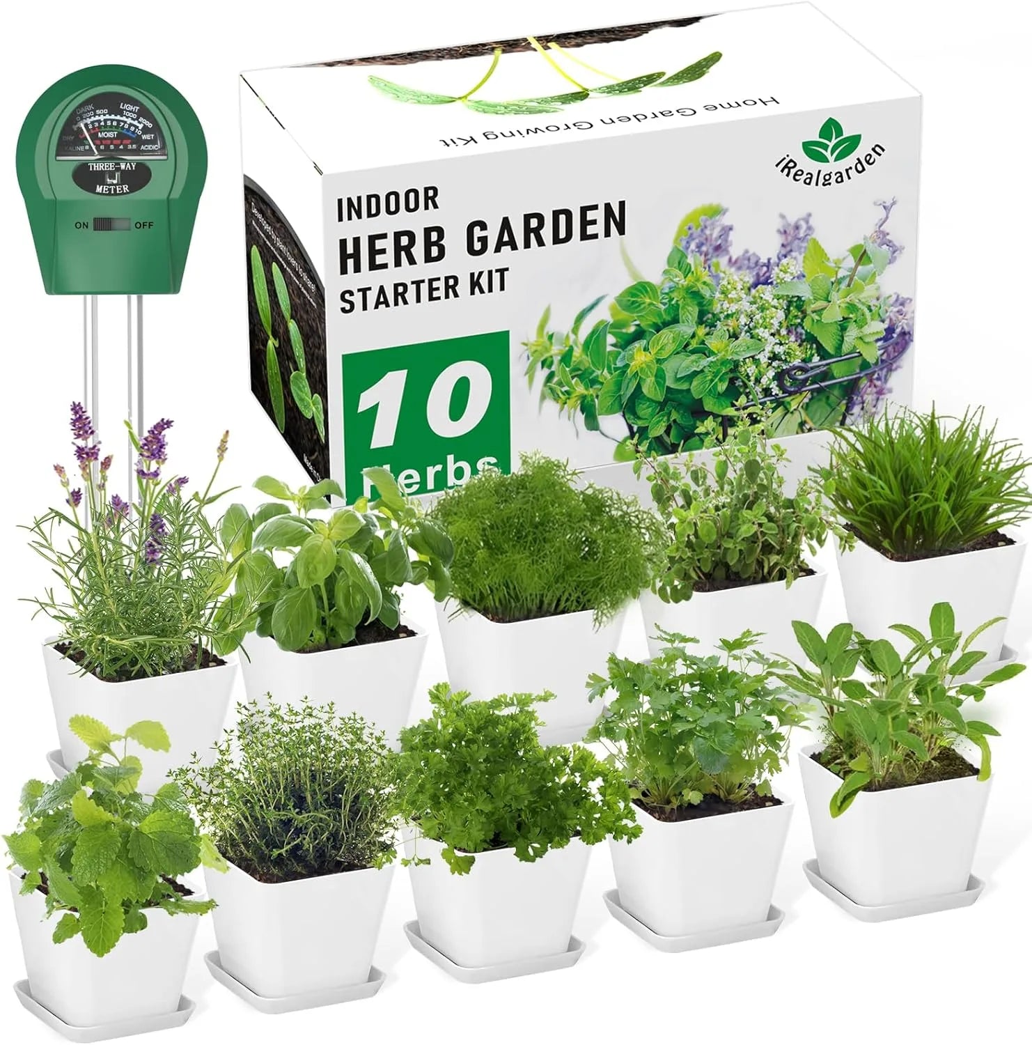 Window Herb Garden Kit