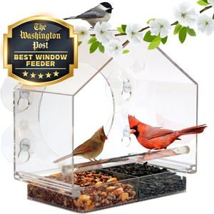 Breezy Gifting Transparent Window Attachment Bird Feeder