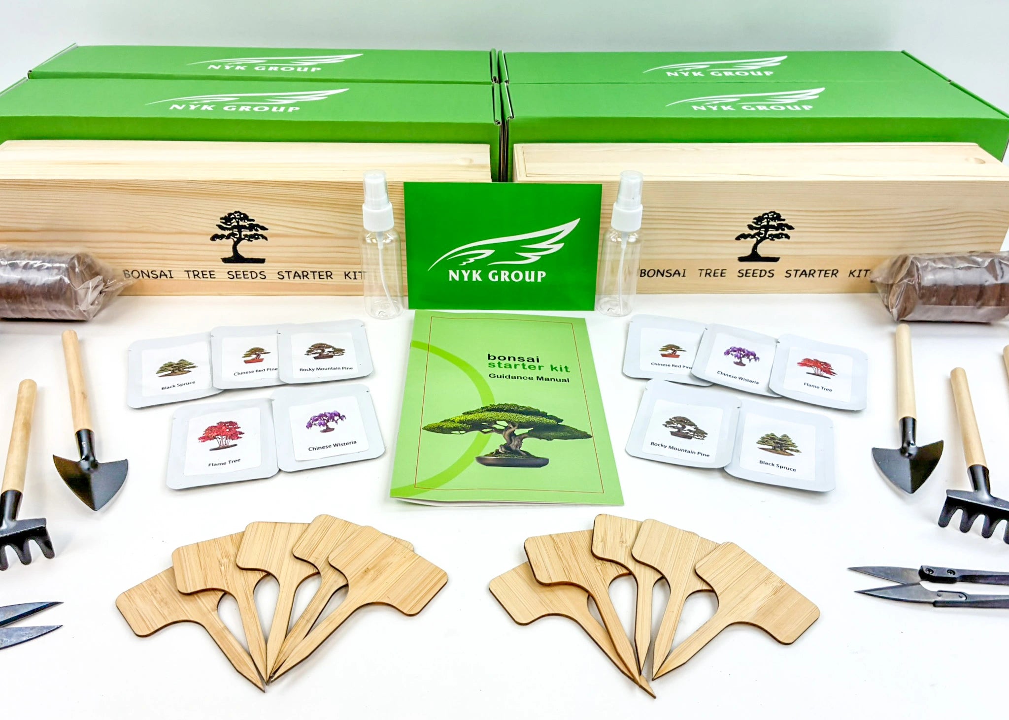 Bonsai seeds starter kit with tools and packaging on a white background