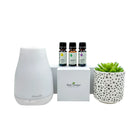 White diffuser with essential oil bottles and a small potted plant on a white background